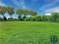 a-vendre-st-benigne---terrain
