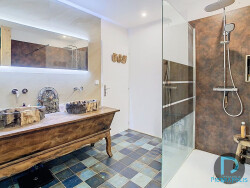 ch-etage-ferme-condeissiat