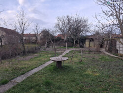 terrain