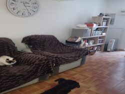 salle-d-eau-1etage