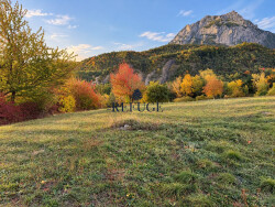 terrain-a-batir-pre-d-emeraude