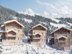 vars---neuf-proche-pistes---salon-2