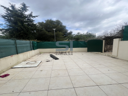 photo13