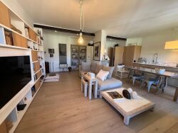 2-cheminees-dans-le-sejour
