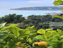 de-la-pointe-de-l--italie