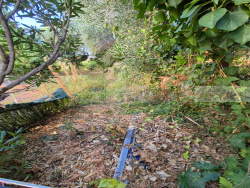 vue-optimisee--projection-faite-par-ia