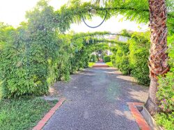 terrasse-ensoleillee