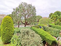 terrasse-et-vue-verdure
