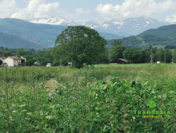 vue-sur-les-pyrenees