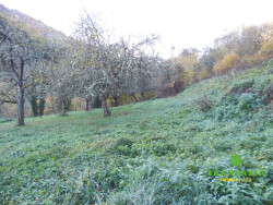 vue-sur-la-montagne