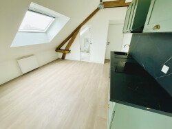 piece-de-vie-avec-cuisine-equipee-