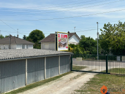 photo11