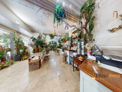local-commercial