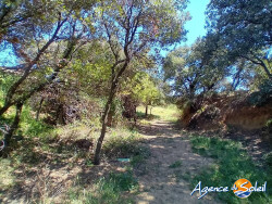 abris-foin-dalle-beton-egalement-