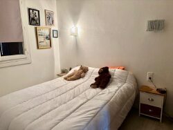 chambre-1er
