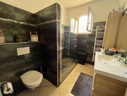 photo8