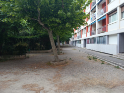 photo4