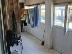 photo8