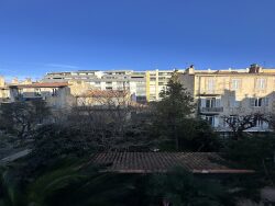 vue-balcon