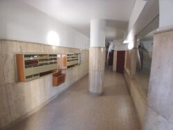 photo16