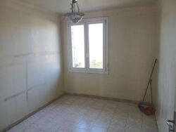 photo8
