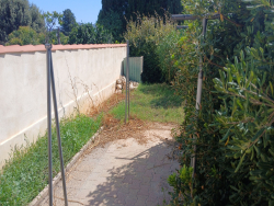 photo1