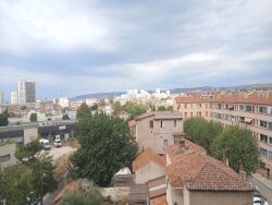 photo11