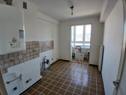 photo19