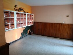 photo5