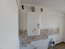 photo8