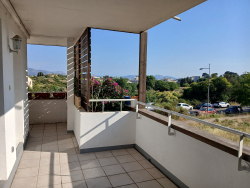 photo8