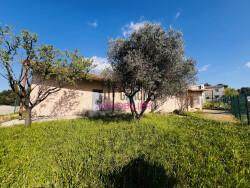 entrepot-d-environ-660-m2-a-boulbon--