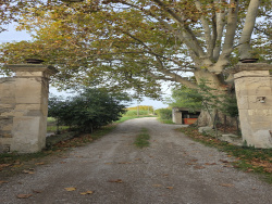 vaste-sejour-avec-cuisine-ouverte