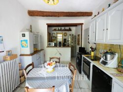 photo16