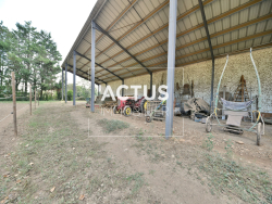 photo11