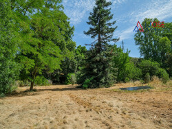 jardin-avec-piscine---au-calme