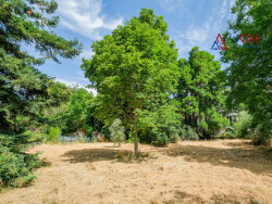 terrain-sans-vis-a-vis