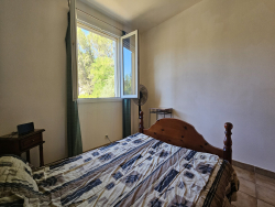 photo11