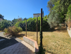 photo13