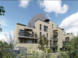 perspective-cote-rue