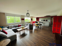 salon-sejour