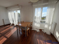 salon-sejour