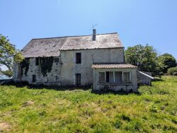 facade-arriere-avec-terrain