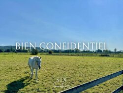 six-immobilier