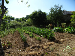 acces-vienne