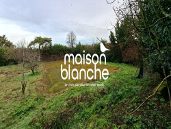 2023