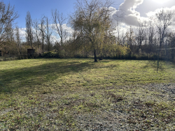 photo11