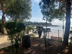 a-vendre-saint-palais-sur-mer