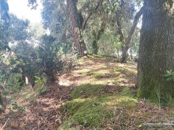 jardin-surplombant