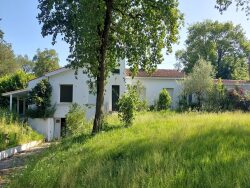 terrain-arbore-grande-parcelle